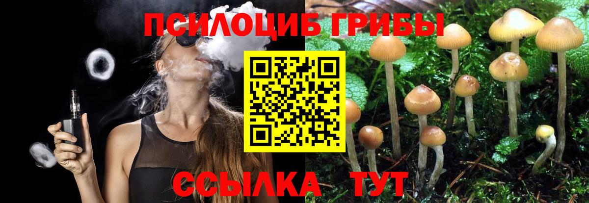 Галлюциногенные грибы Magic Shrooms  как найти закладки  Киреевск  Вход с VPN  Галлюциногенные грибы мухоморы 